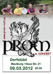 Prom_2012_Plakat_Dorfstuebli