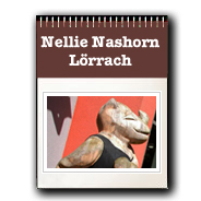 Nellie Nashorn